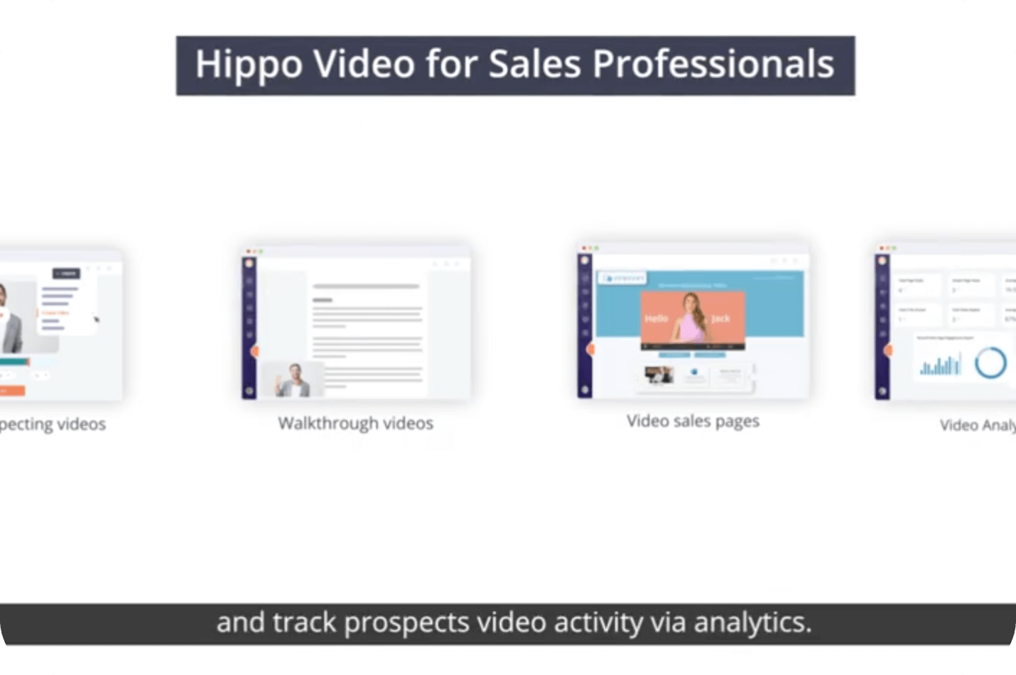 hippo-affiliates-header-image